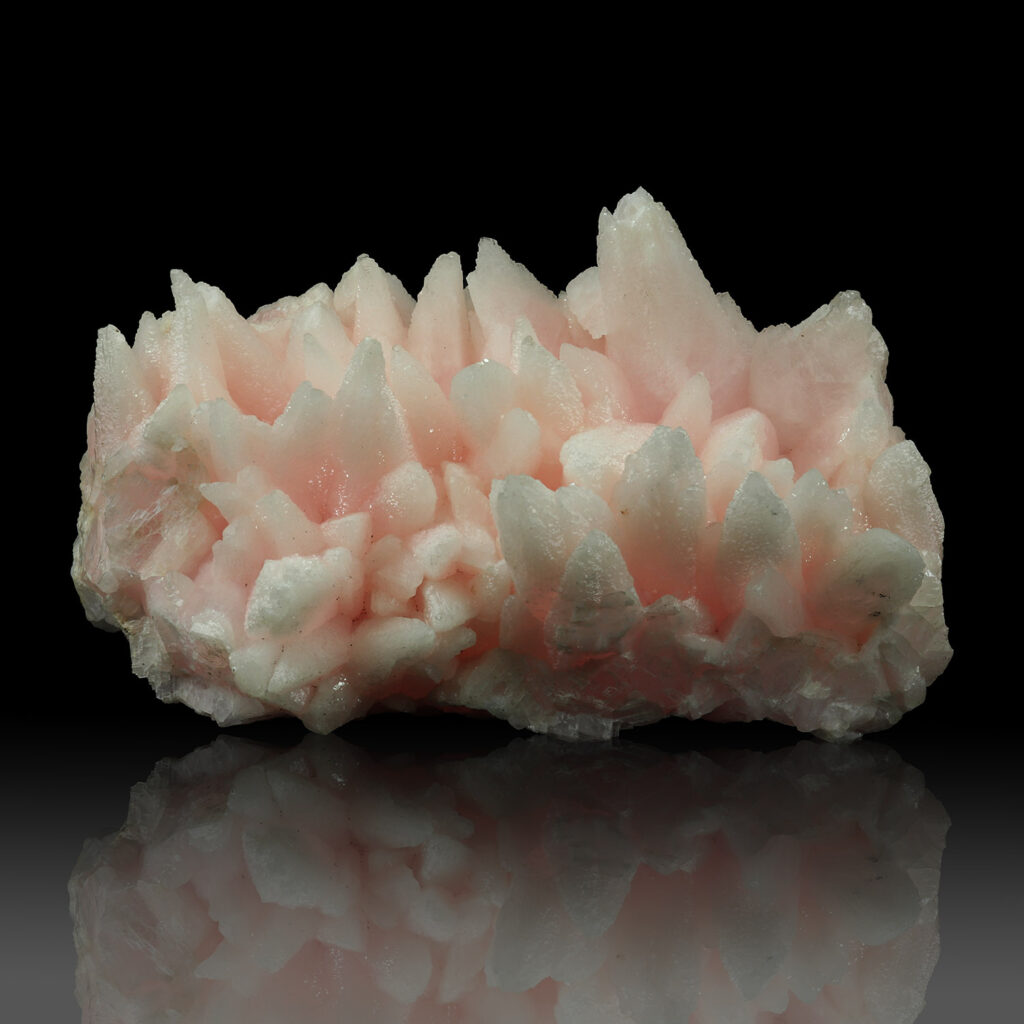 Kassandra mines Special