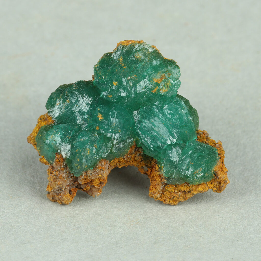 Chris Spiromitros Collection Part 1