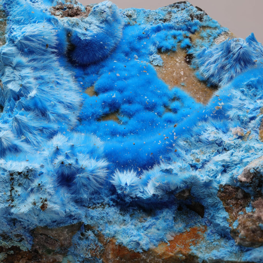 Pristine Minerals Auction