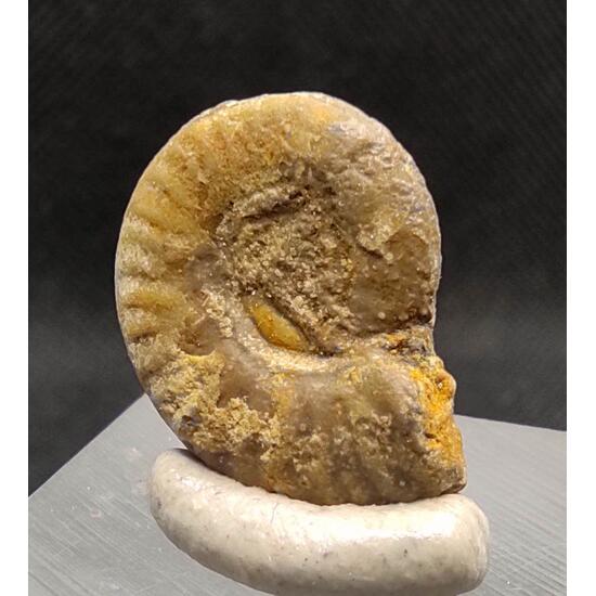 Adrael Minerals Auction