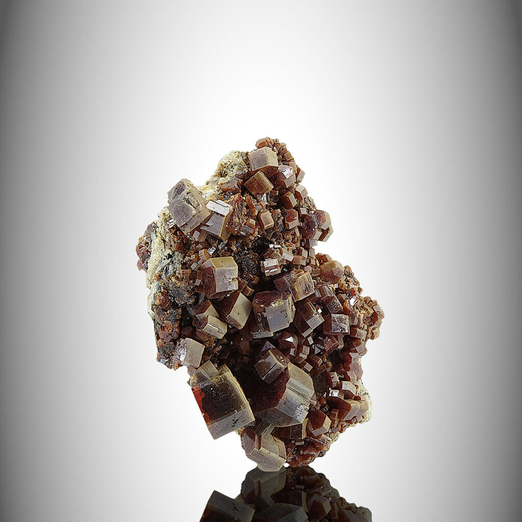 Stoasuacha Auction