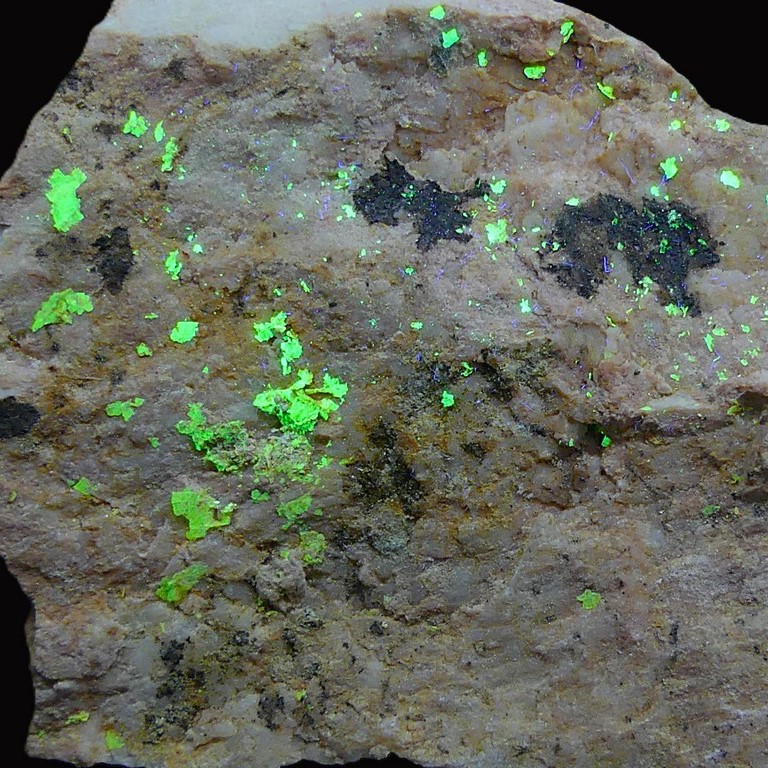 Trencapedres Minerals Auction
